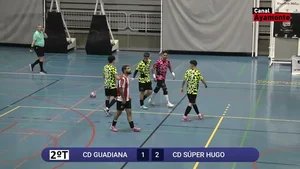 Vídeo de Futbol Sala Masculino en Huelva categoría senior resumen-futsal-guadiana-super-hugo-9-1-2026